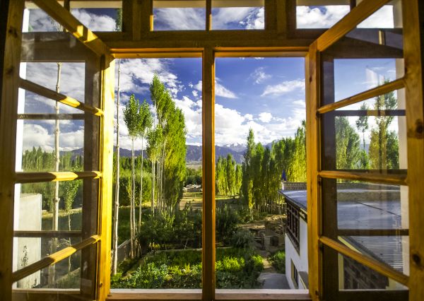 Cost of Wood Window Replacement in Lenoir City